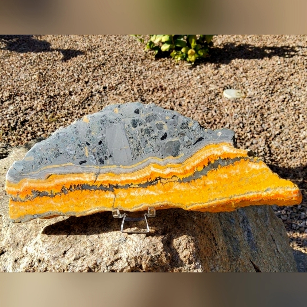 SOLD-- BIG, Bold Bumblebee Jasper Slab w/ stand - Indonesia
